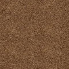 Bolsena Sofa Sleeper - Hammers Furniture (MN)